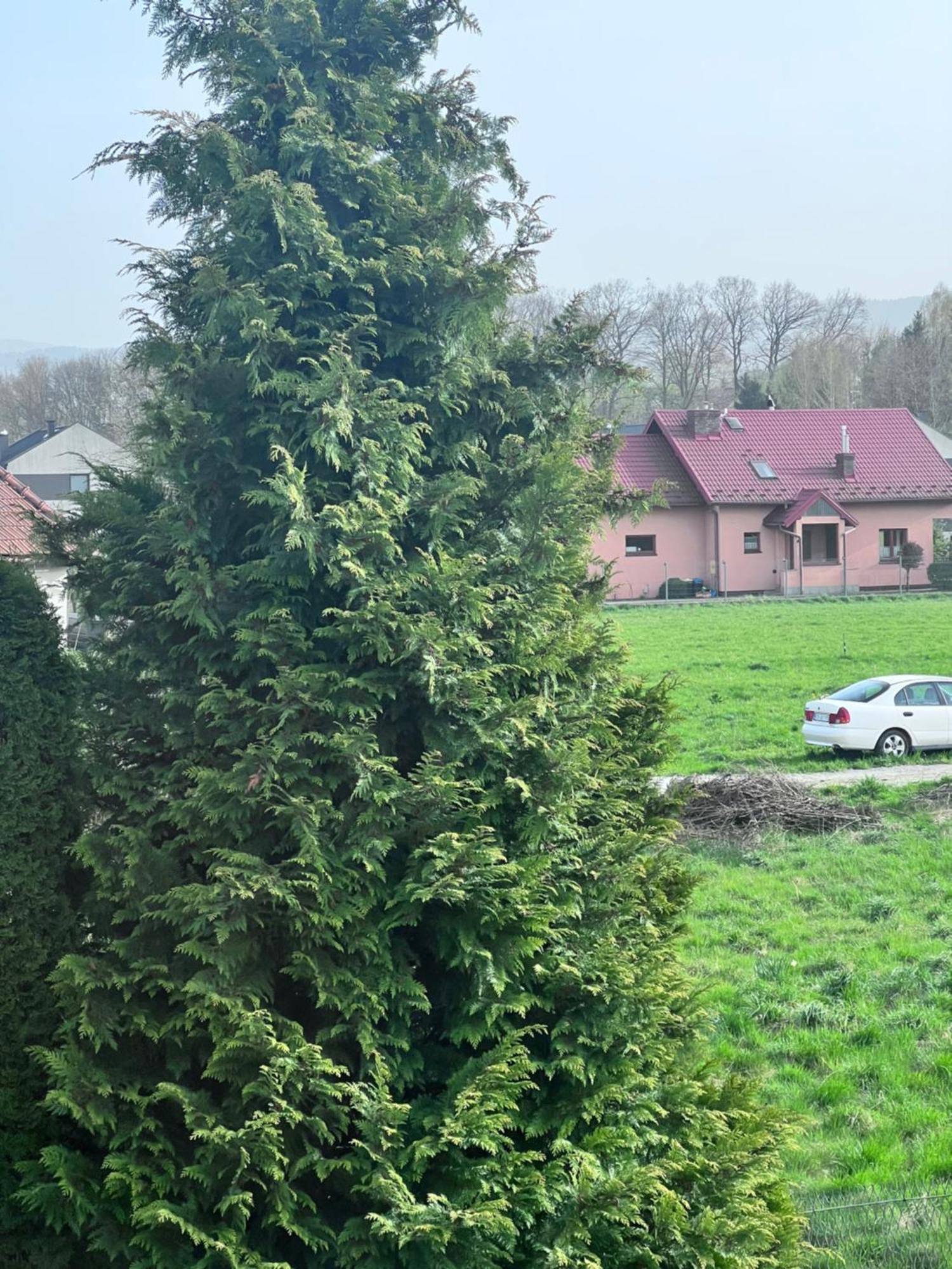 Apartament Nawojowski Nowy Sącz Buitenkant foto